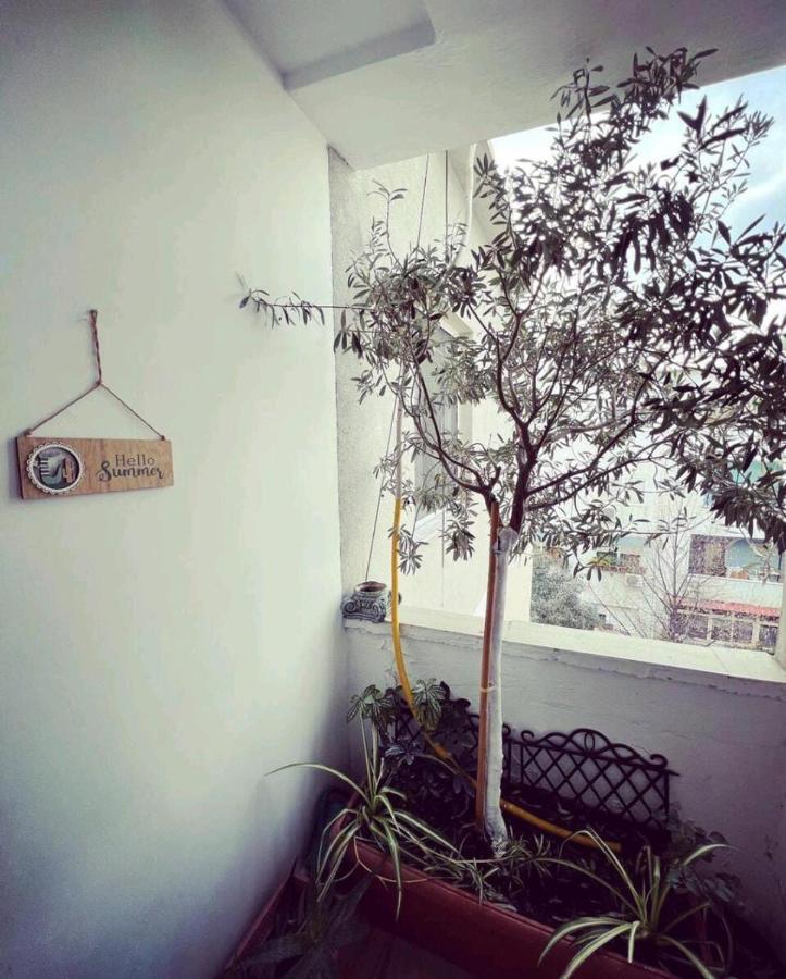 Cozy & Stylish Apartment تيرانا المظهر الخارجي الصورة